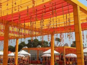 d35c5a51-08da-4e04-87ec-409f8a7e539b