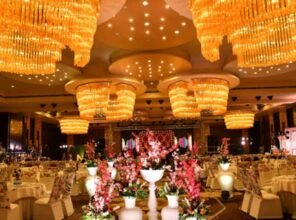 d9486eca-d382-4920-9a16-f172a96aaed3